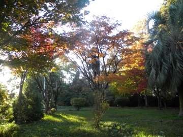 Botanical Garden