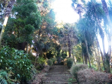 Botanical Garden