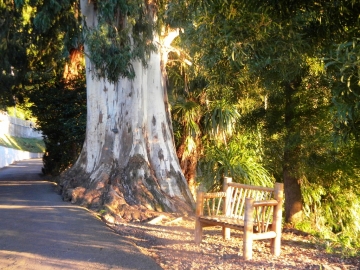 Botanical Garden