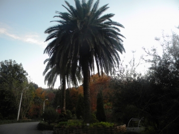 Botanical Garden