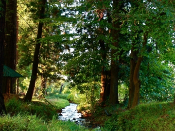 Mtirala National Park