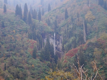 Mtirala National Park